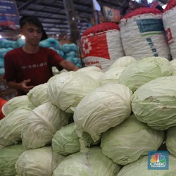 Kredit Macet Tinggi, OJK Blak-blakan Nasib Pinjol Tanihub