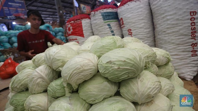 5 Golongan Orang yang Harus Hindari Sayur Kol, Begini Efeknya