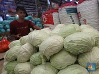 Punya Asam Urat? Hindari 5 Sayuran Ini!