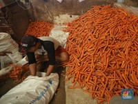 5 Jenis Sayuran yang Ampuh Mengurangi Lemak di Perut