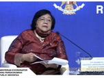 Menteri LHK: Pembangunan Jokowi Tak Setop Gegara Deforestasi