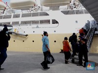 PT Pelni Ajukan PMN 2025 Sebanyak Rp 2,5 Triliun, Untuk 2 Kapal Baru!
