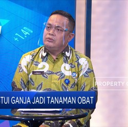 BNN Tegaskan Indonesia Tetap Tolak Penggunaan Ganja!