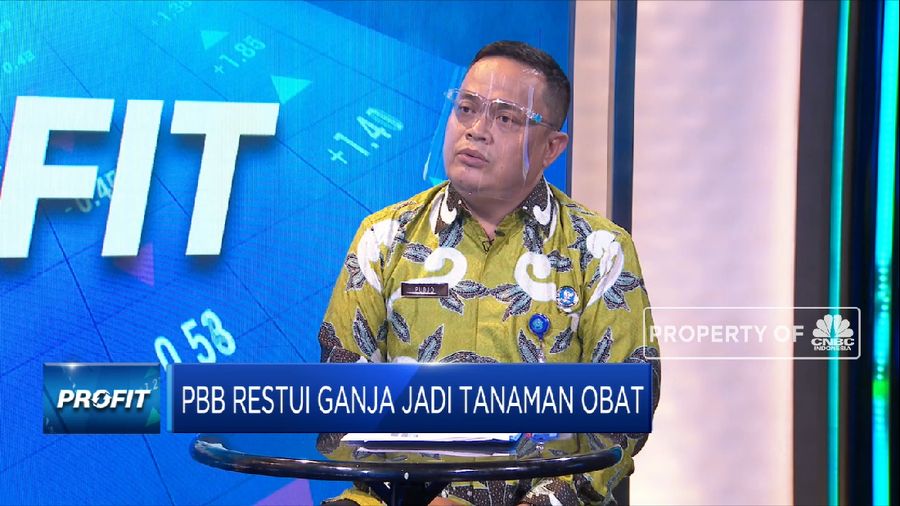 BNN Tegaskan Indonesia Tetap Tolak Penggunaan Ganja  (CNBC Indonesia TV)