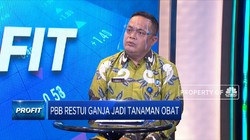 BNN Tegaskan Indonesia Tetap Tolak Penggunaan Ganja!