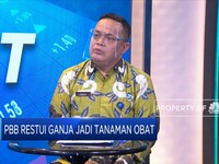 BNN Tegaskan Indonesia Tetap Tolak Penggunaan Ganja!