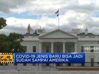 Covid-19 Jenis Baru Sudah Sampai Amerika?