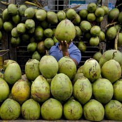 7 Waktu Terbaik Minum Air Kelapa, Ini 6 Manfaatnya