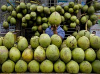 7 Waktu Terbaik Minum Air Kelapa, Ini 6 Manfaatnya