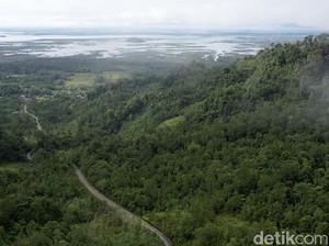 Potensi El Nino Godzilla Mengintai RI, Waspada Karhutla di Kalimantan