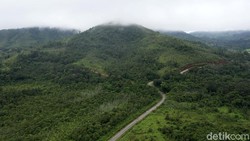 Kenapa Kalimantan Tak Punya Gunung Berapi? Ini Penjelasan Ilmiah BMKG