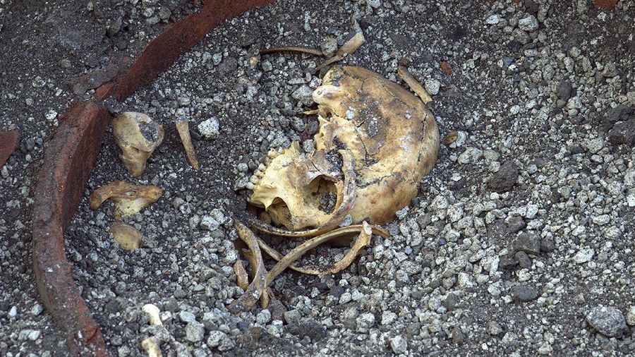 Bar berusia lebih dari 2.000 tahun ditemukan di Pompeii, Italia. Bar dalam keadaan terawat, meski tertutup abu vulkanik bekas letusan gunung api tahun 79 masehi. (AP/Luigi Spina)