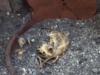 Kerangka Eks Budak Pompeii Ditemukan, Fakta Baru Terungkap
