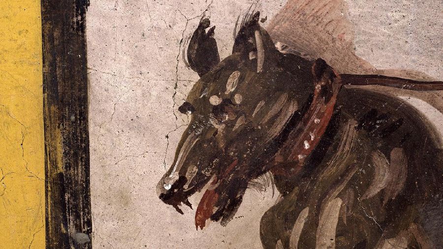 Bar berusia lebih dari 2.000 tahun ditemukan di Pompeii, Italia. Bar dalam keadaan terawat, meski tertutup abu vulkanik bekas letusan gunung api tahun 79 masehi. (AP/Luigi Spina)