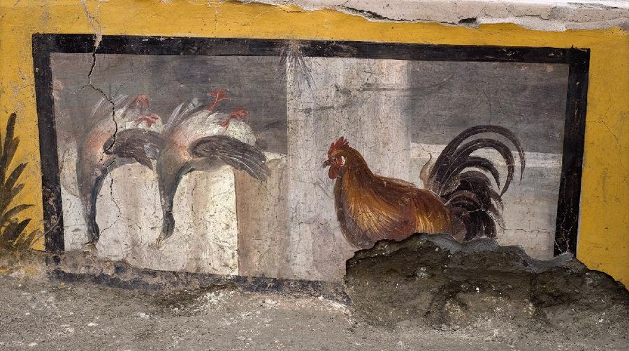 Bar berusia lebih dari 2.000 tahun ditemukan di Pompeii, Italia. Bar dalam keadaan terawat, meski tertutup abu vulkanik bekas letusan gunung api tahun 79 masehi. (AP/Luigi Spina)