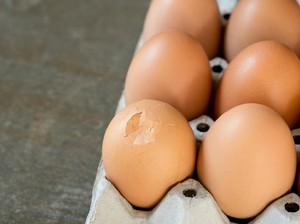 Arkeolog Tak Sengaja Pecahkan Telur Berusia 1.700 Tahun