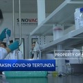 Ekspor Vaksin Covid-19 dari China Tertunda