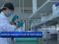 Ekspor Vaksin Covid-19 dari China Tertunda
