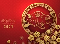 Bisnis yang Bakal Cuan 2021 Kata Pakar Feng Shui
