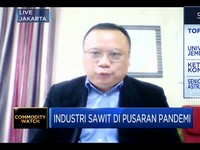 Gapki Optimistis Tren Positif Harga CPO Berlanjut ke H1-2021