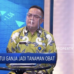 BNN Ungkap Alasan RI Jadi Bidikan Bandar Narkoba Dunia