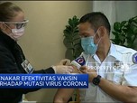 Menakar Efektivitas Vaksin Terhadap Mutasi Virus Corona