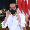 Terungkap! Sederet Alasan Jokowi Pilih Ridha Jadi CEO SWF INA