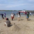 Penelitian BRIN Ungkap Teluk Jakarta Tercemar Paracetamol