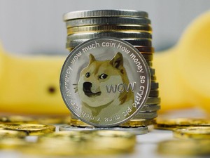 Awal Mula Kabosu Si Anjing Shiba Jadi Meme Doge
