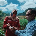 Cara Ajukan KUR BRI, BNI, & Mandiri: Persyaratan dan Bunganya