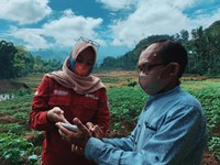 Cara Ajukan KUR BRI, BNI, & Mandiri: Persyaratan dan Bunganya