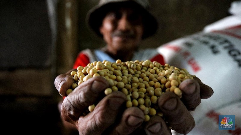 Pekerja beraktivitas di Rumah Produksi Tahu di kawasan Jakarta, Senin (4/1/2021). Produksi tahu di lokasi ini kembali dilanjutkan setelah beberapa hari belakangan mogok akibat naiknya harga kedelai yang mencapai Rp9.200 per kilogram dari harga normal Rp72.00 per kilogram. (CNBC Indonesia/Tri Susilo)