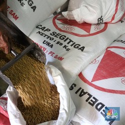 Miris! China Borong Kedelai, RI Kerepotan Bikin Tahu-Tempe!
