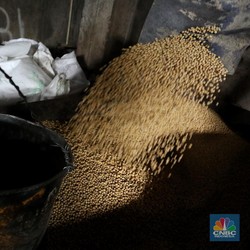 Tahu-Tempe Langka, Terus yang Salah Petani Kedelai Gitu?