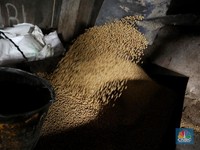 Miris! 75 Tahun RI Merdeka, Bahan Baku Tahu Tempe Masih Impor