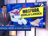 Waspada, Kedelai Kian Langka