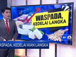 Waspada, Kedelai Kian Langka