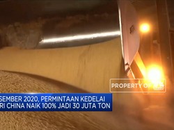 China Borong Kedelai Impor, RI Kesulitan Bikin Tahu-Tempe