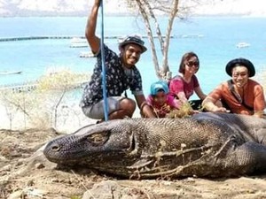 Taman Nasional Komodo Direncanakan Tutup untuk Wisata pada 2025