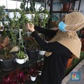 Tips Nih Bunda! Susu Cair Bisa Bikin Tanaman Hias jadi Mahal