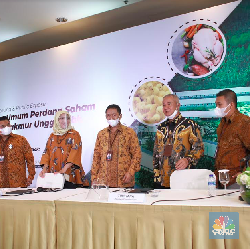 Dear Investor, Ini Harga IPO Widodo Makmur, Tertarik Borong?