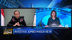 Update Investasi Baterai LG, Smelter Dibangun di Maluku Utara
