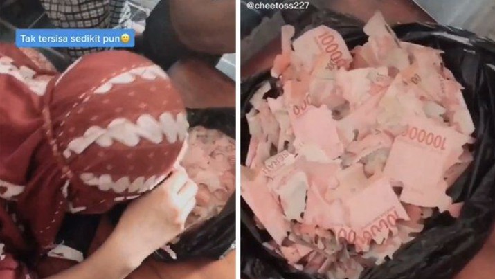 Uang 15 Juta dimakan rayap Uang 15 Juta dimakan rayap