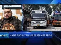 Babak Belur Hadapi Pandemi, Begini Kondisi Perusahaan Otobus