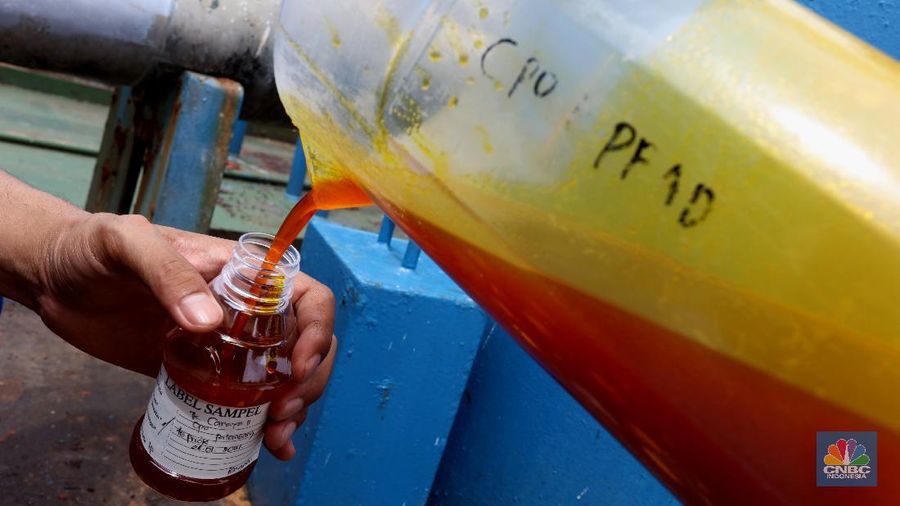 Bongkar Muat Minyak Crude Palm Oil (CPO) (վ/Tri Susilo)