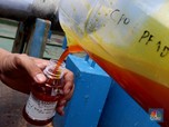 Harga Migor Terus Turun, DMO Dicabut Bikin Terbang Lagi?
