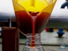 Ini Biang Kerok Bikin Petani & Pabrik Sawit Megap-megap