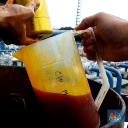 Naik Tipis Pekan ini, Harga CPO Kembali ke Atas RM 4.000/Ton!