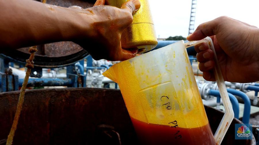 Bongkar Muat Minyak Crude Palm Oil (CPO) (CNBC Indonesia/Tri Susilo)