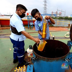 Harga Minyak Lagi Terbang, Kok CPO Nyungsep?